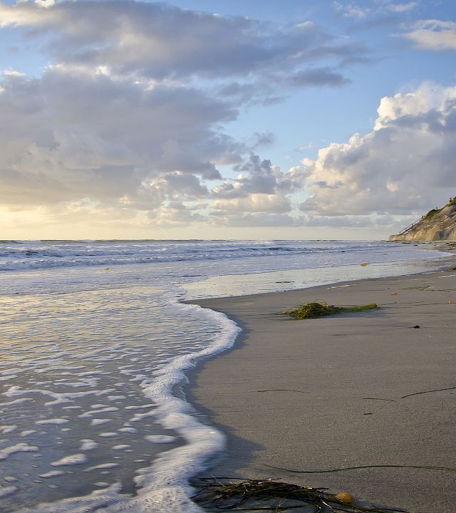 A sandy beach with gentle waves, palm trees on cliffs, and two people walking under a cloudy, sunset sky.